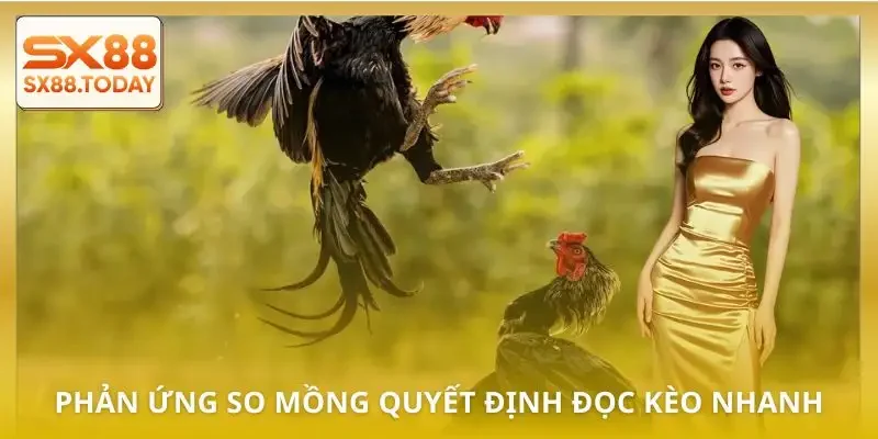 bat-keo-da-ga-phan-ung-so-mong