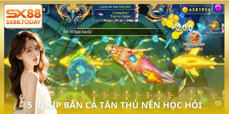 bi-kip-ban-ca-huong-dan