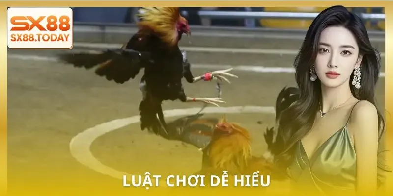 da-ga-cua-dao-cac-keo-cuoc