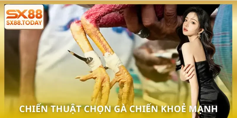 da-ga-cua-sat-chien-thuat