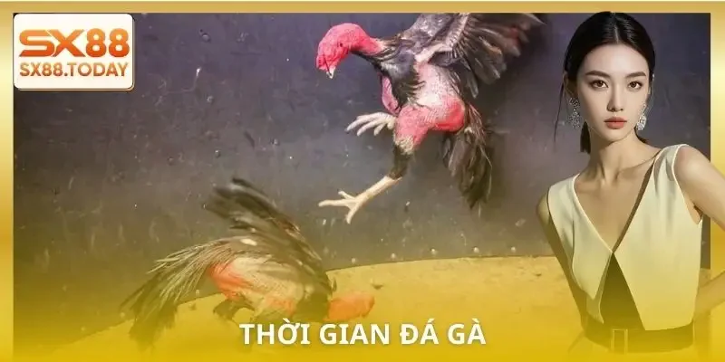 da-ga-don-thoi-gian-thi-dau