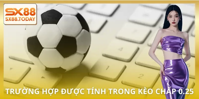 keo-chap-0-25-loai-hinh